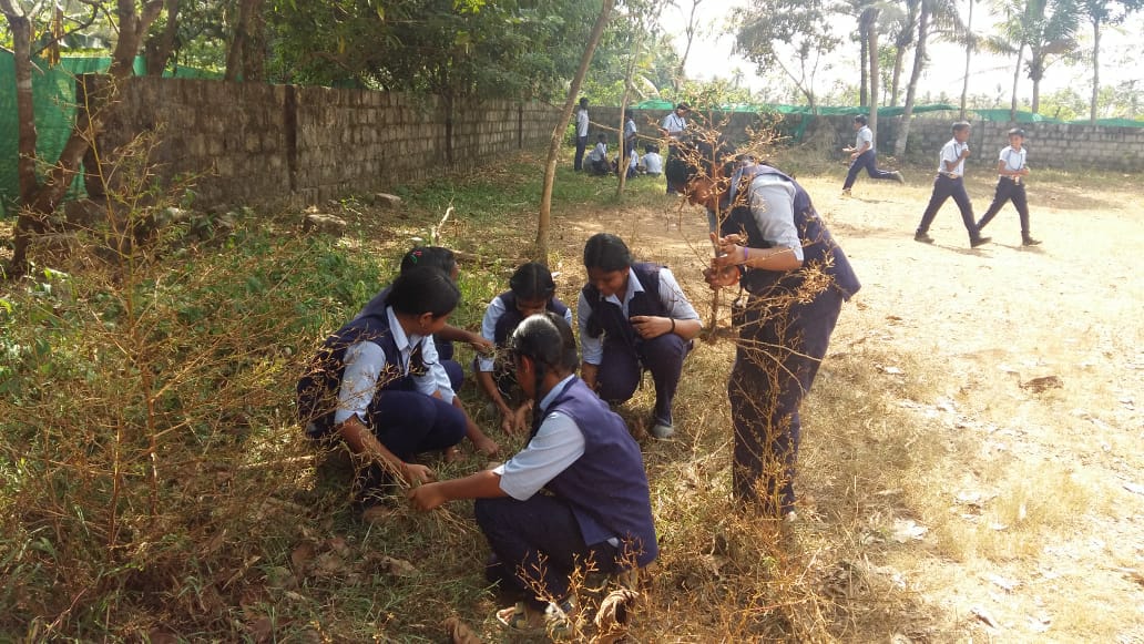 Swatch Bharath cleaning
